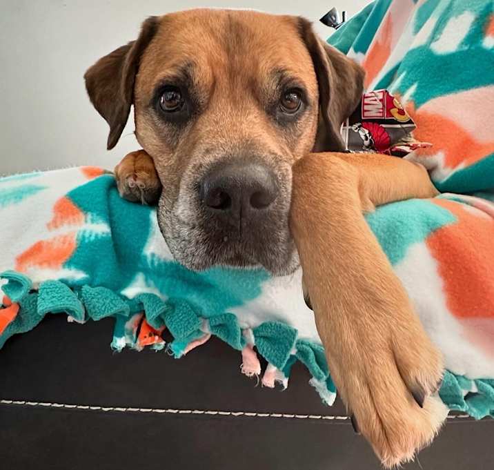 Photo of Gideon