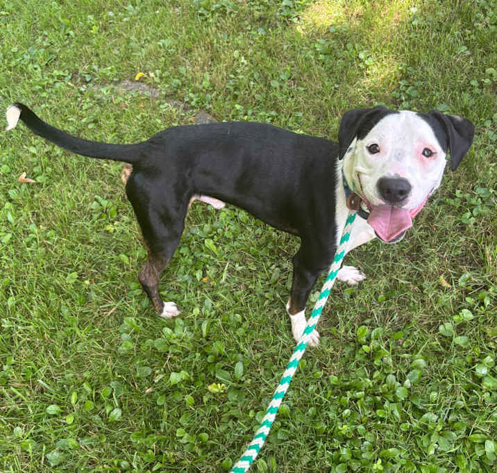 Photo of Butch