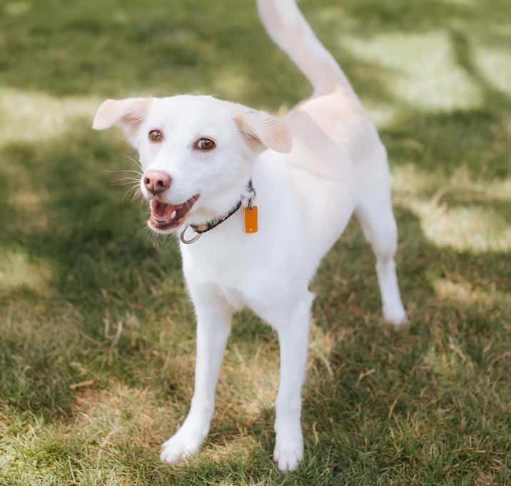 Photo of Maya
