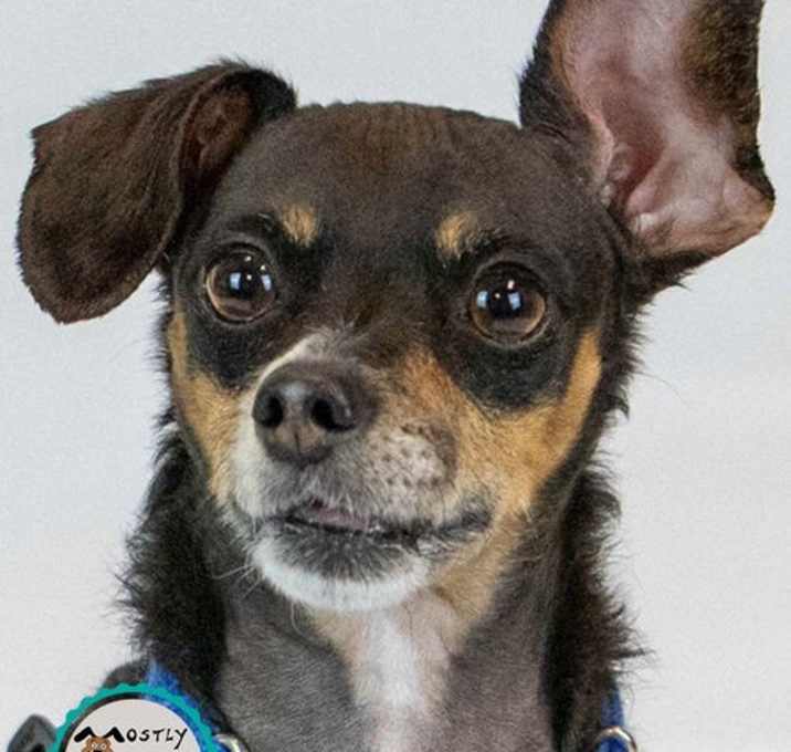 Photo of Eugene