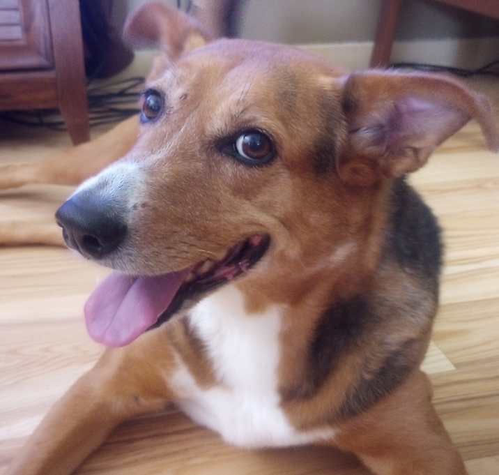 Photo of Isabella