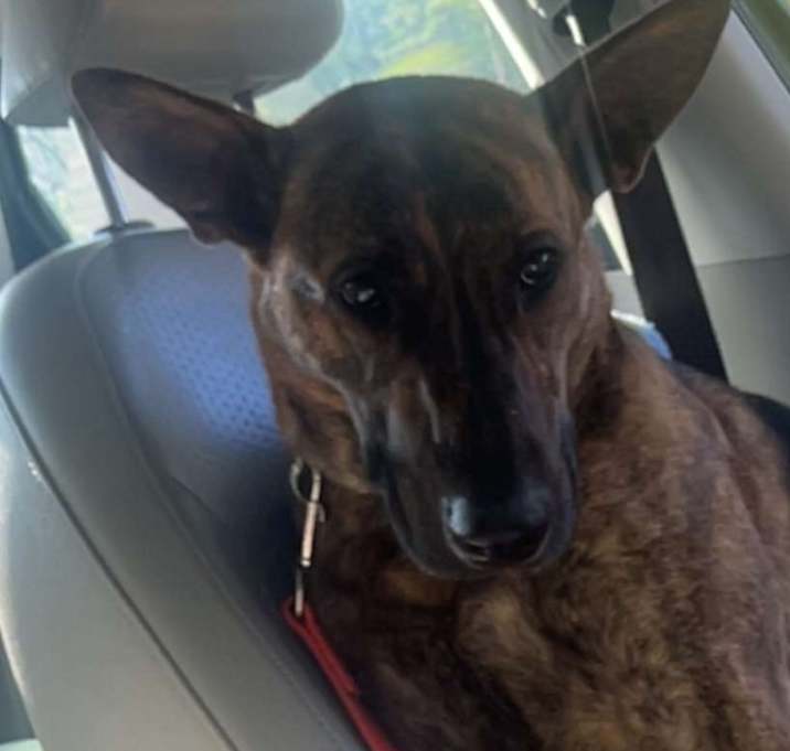Photo of Athena