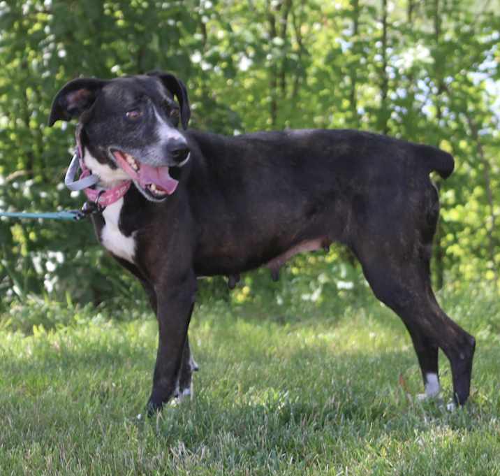 Photo of Shirley