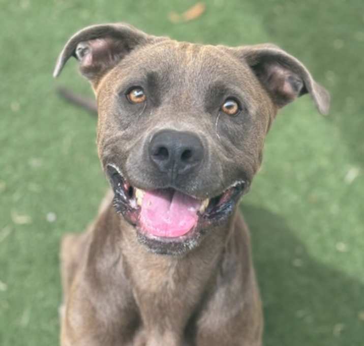 Photo of ROMEO