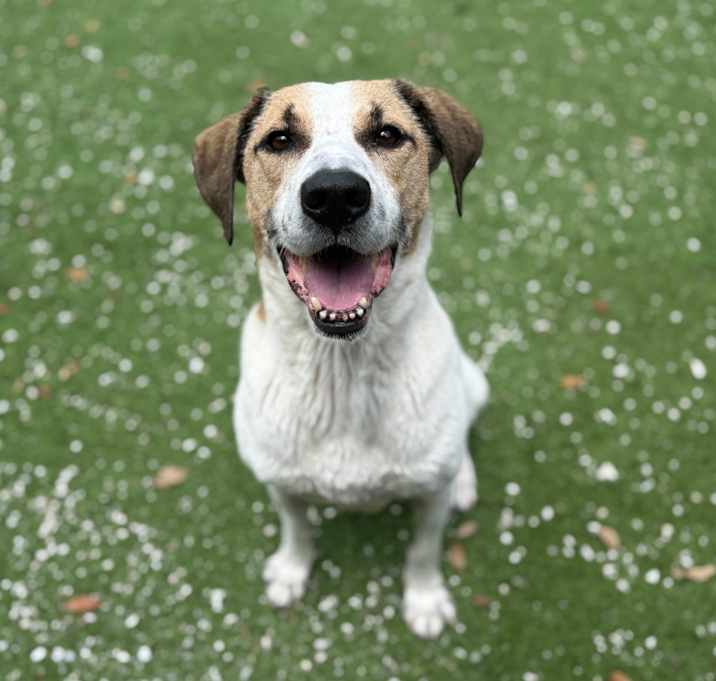 Photo of Ranger 0986