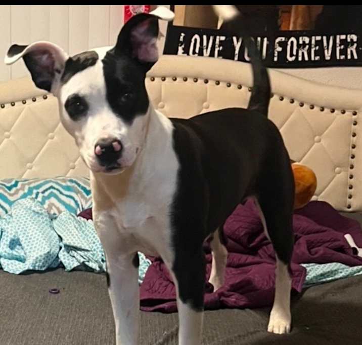 Photo of Coco