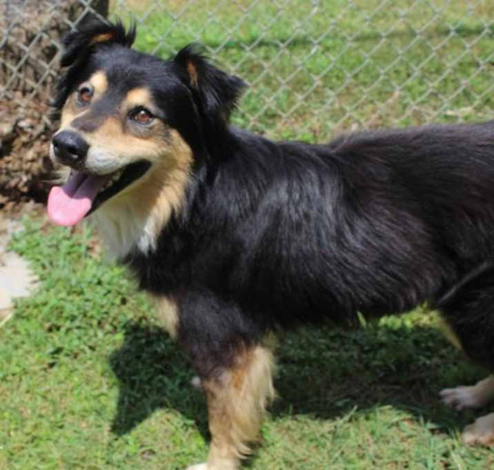 Photo of Joey