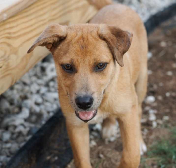 Photo of Tilly