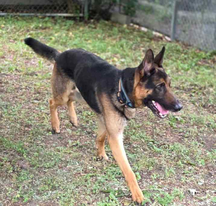 Photo of Chuck
