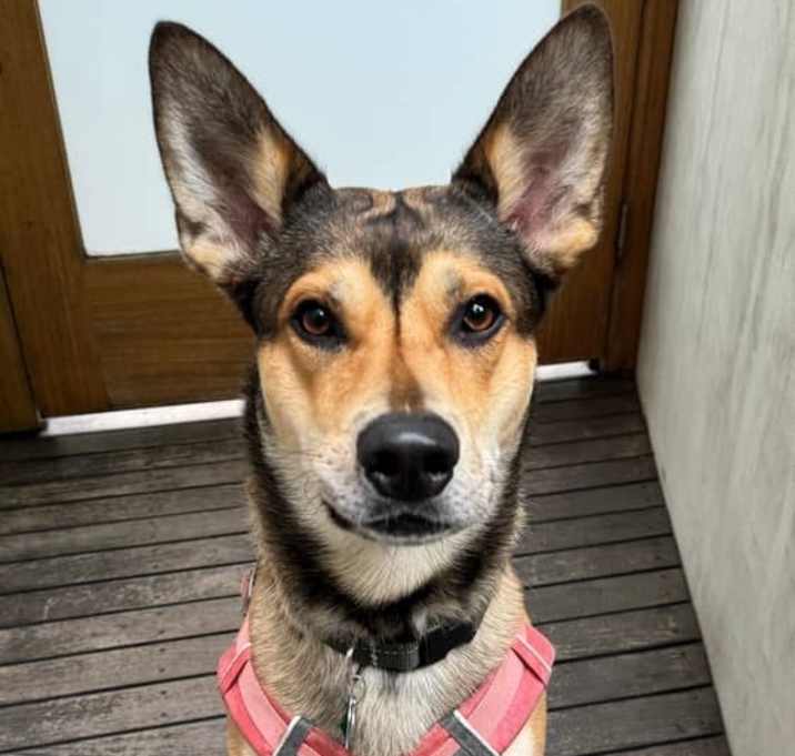 Photo of Kody