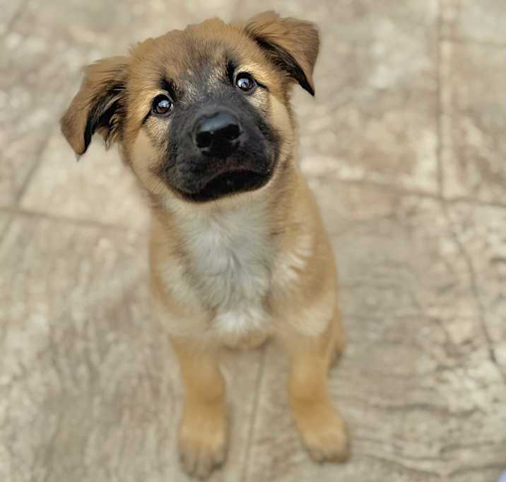 Photo of Percy
