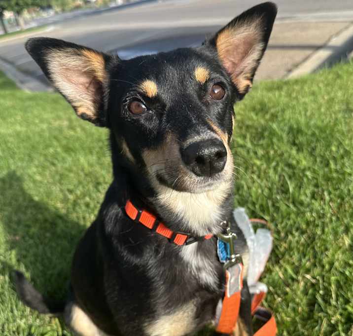 Photo of Coney