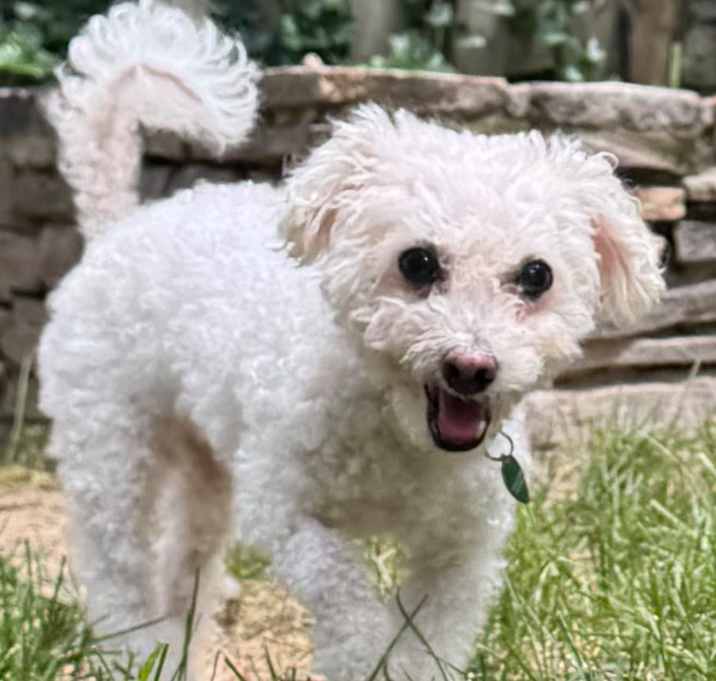 Photo of FRANKIE