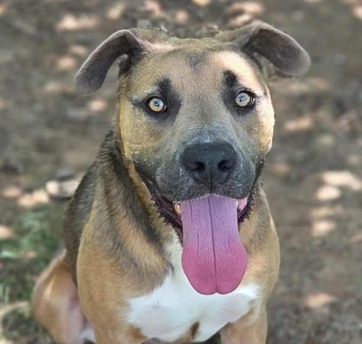 Photo of Marco