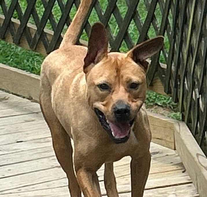 Photo of Willie