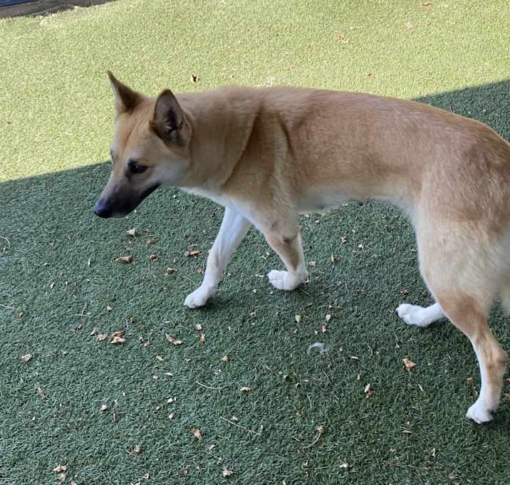 Photo of Lyla
