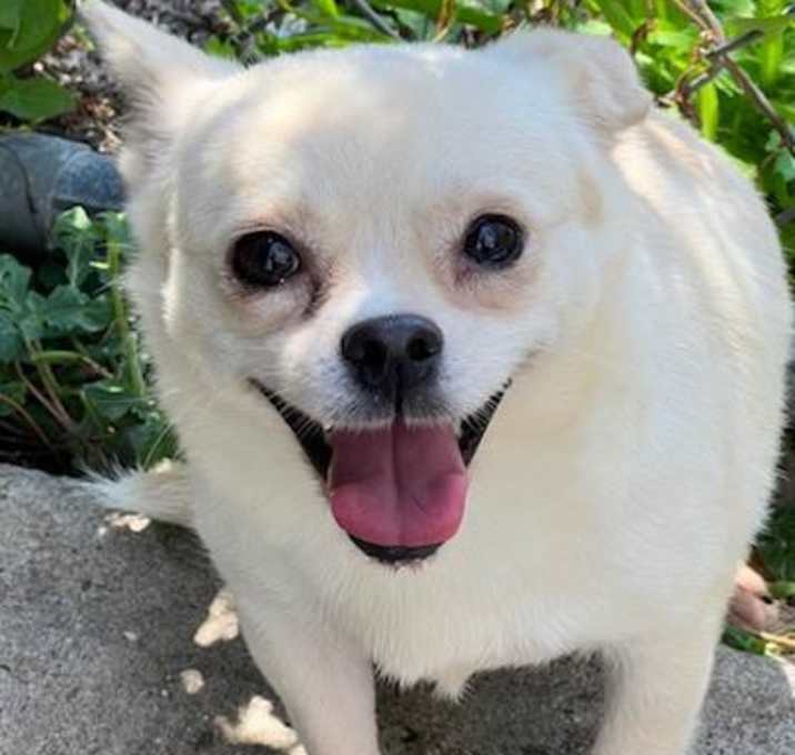 Photo of Cassie