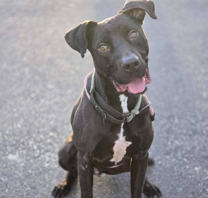Photo of Meelo