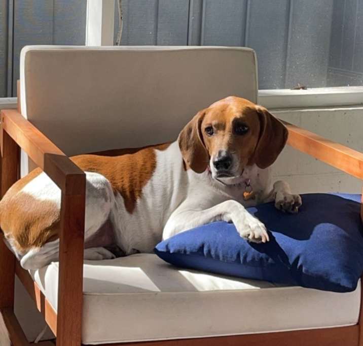 Photo of Lily
