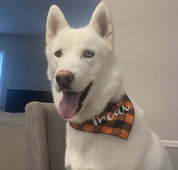 Photo of Zeus