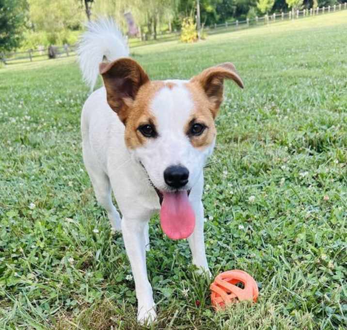 Photo of Benny