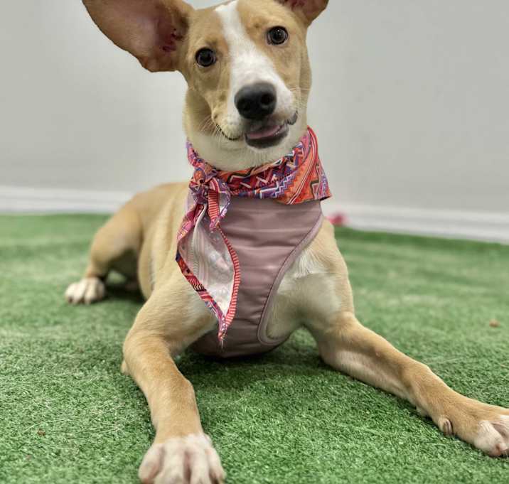 Photo of Susy
