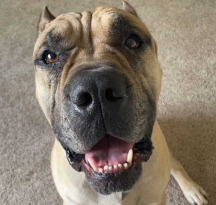 Photo of George