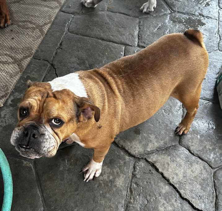 Photo of Madam Wrinkles