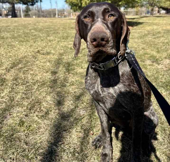 Photo of Maggie