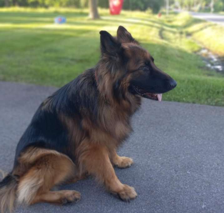 Photo of Gus