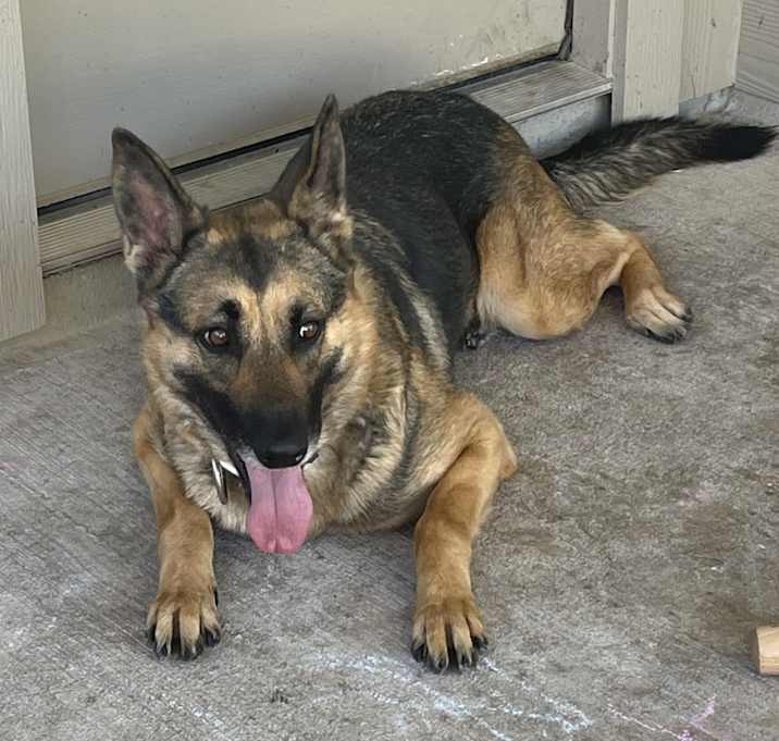 Photo of Lala