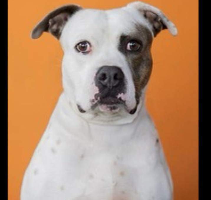 Photo of Wilbur - Florida **** Courtesy post ****