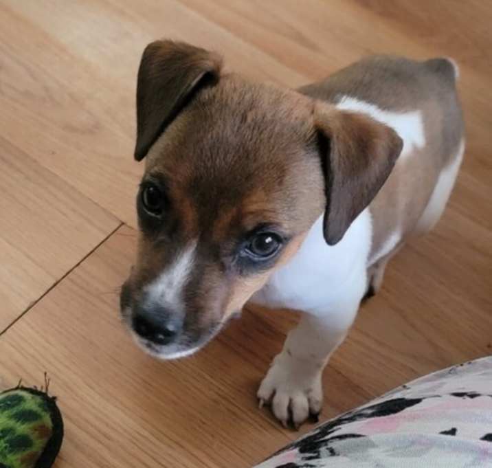 Photo of Owen