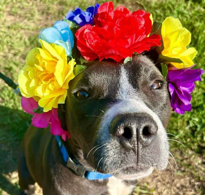 Photo of Darla