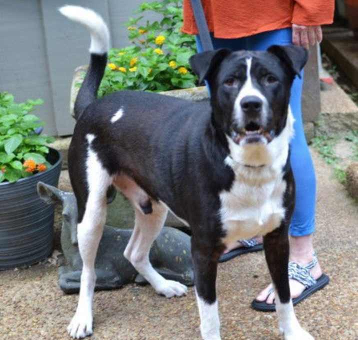 Photo of Capone