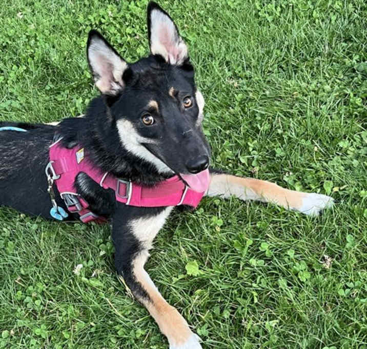 Photo of Missy