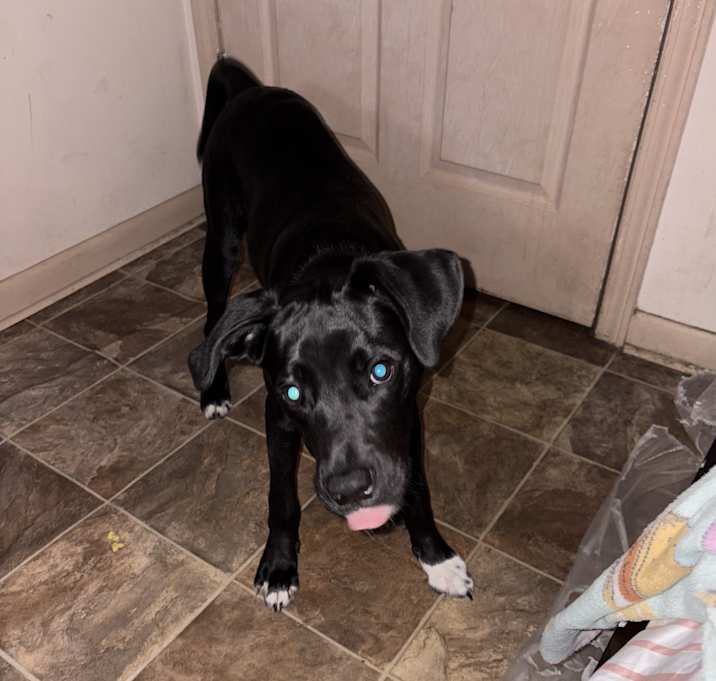 Photo of Tucker