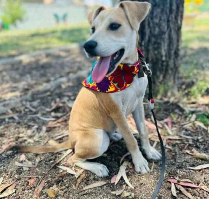 Photo of Lucille (Lucy)