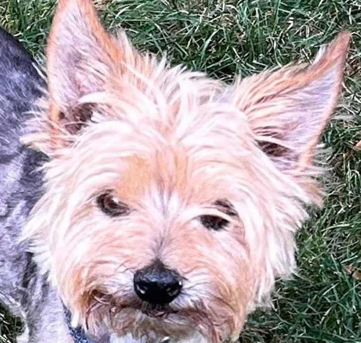 Photo of LUCY