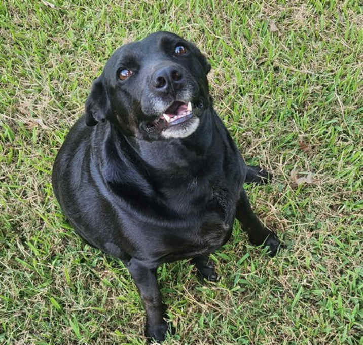 Photo of Black Betty