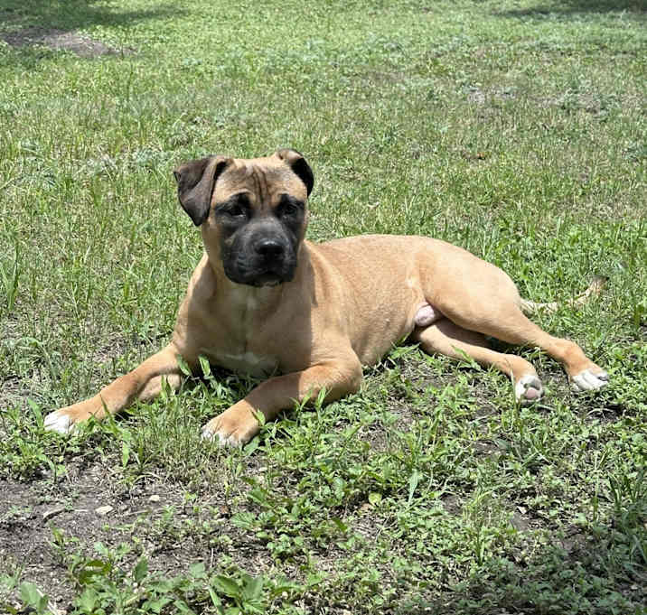 Photo of Norbert