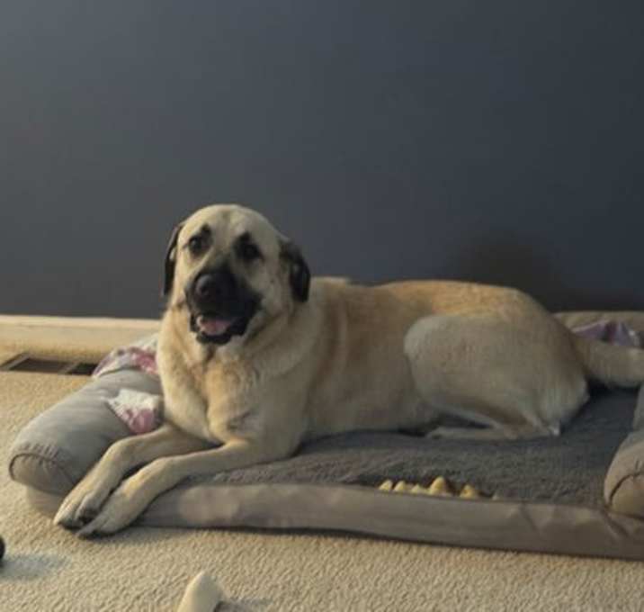Photo of Chloe