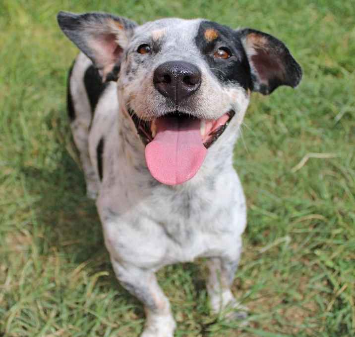 Photo of Boone