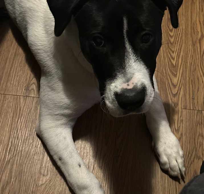 Photo of Cash