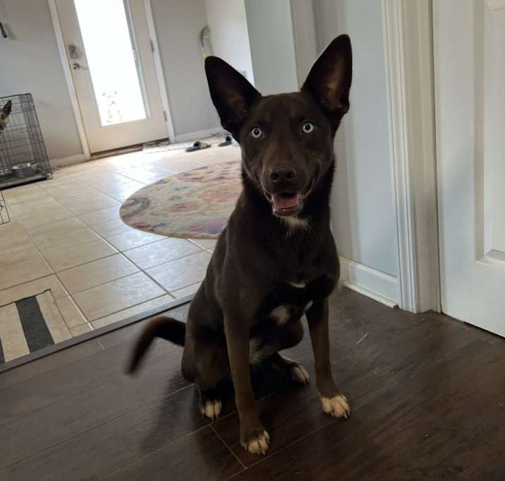 Photo of Penelope
