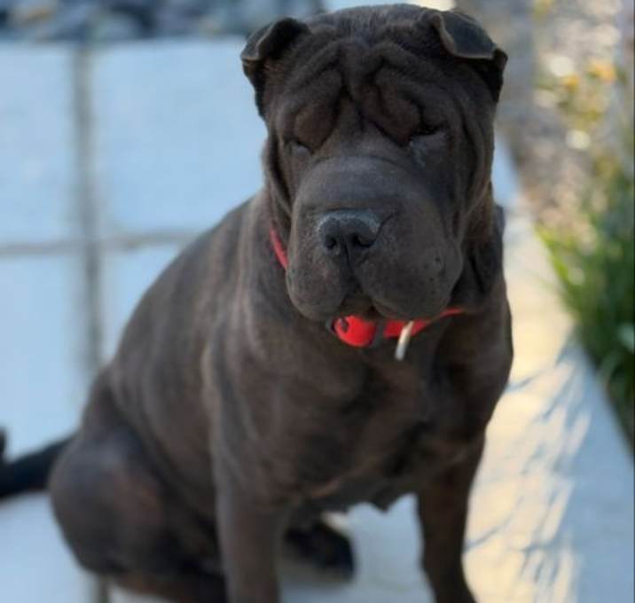 Photo of Baroness