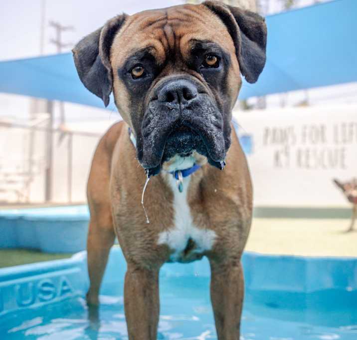 Photo of Marty A2205941