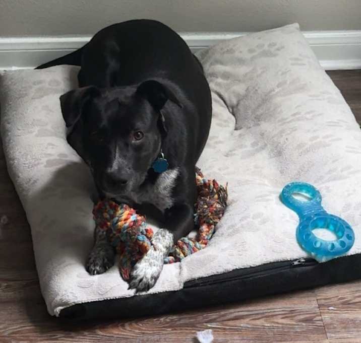 Photo of Cleo