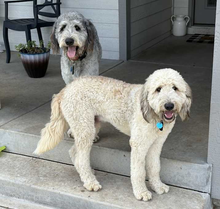 Photo of Tony / Bruce