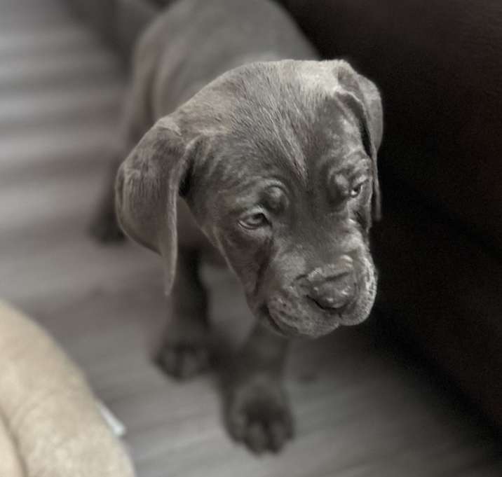 Photo of Jai
